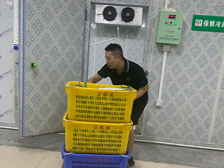冷链物流